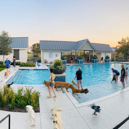 Master-Planned Communities: Connection & More | Pecan Square