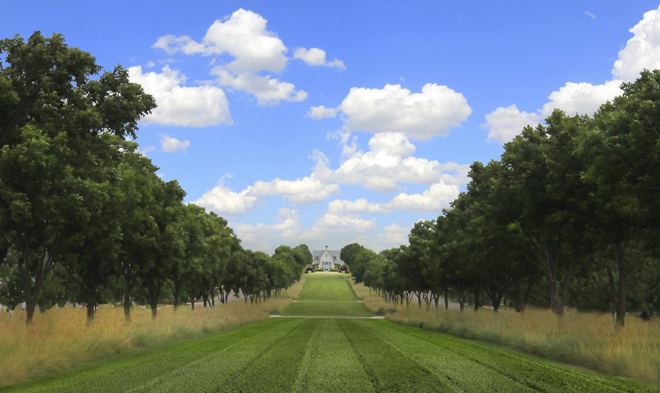 Pecan Trees And Their Proud Texas History