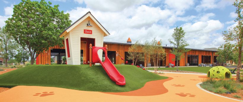 Dog -themed playground with slide