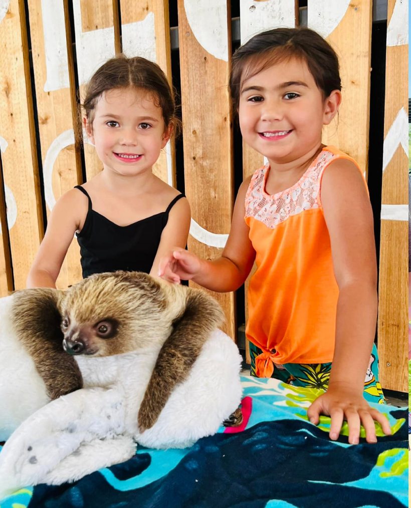 two girls petting a 3-toed sloth